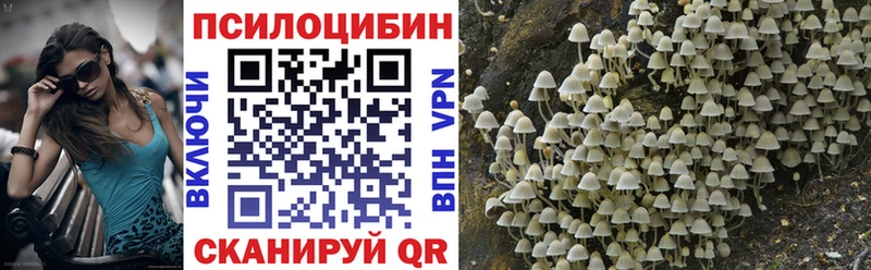 Купить Добрянка Галлюциногенные грибы Cubensis